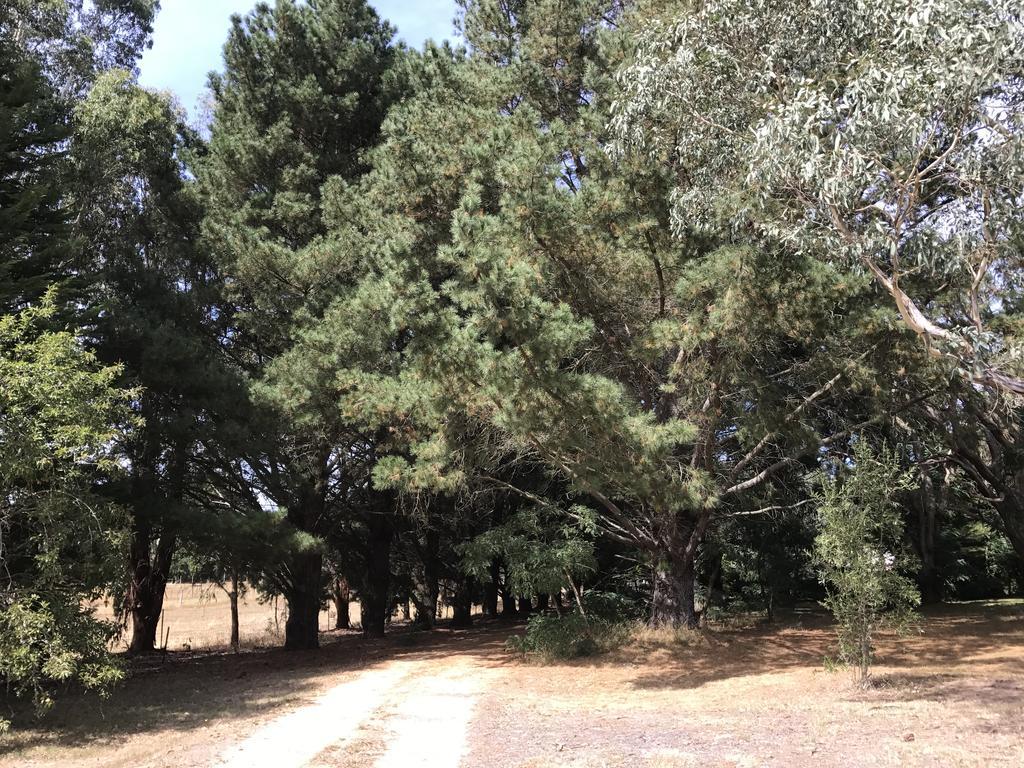 Helen'S Homestead Enfield Dış mekan fotoğraf